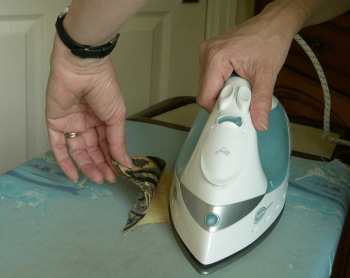 Pressing tip
