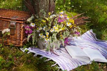 UKQU 2019 Quilt Exhibition -- August is Summer Picnics -- sponsored by the Craft Cotton Co