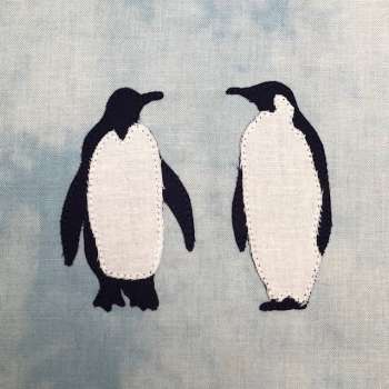 Animals from the Ice regions