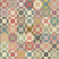 bed of roses