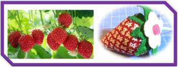 Strawberry Fields - Summer is Coming ....