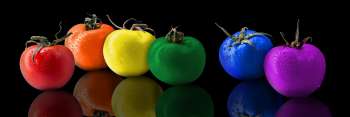Somewhere over the Rainbow with Stuart Hillard