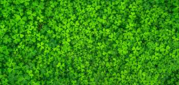 Rubber Thimbles from Clover