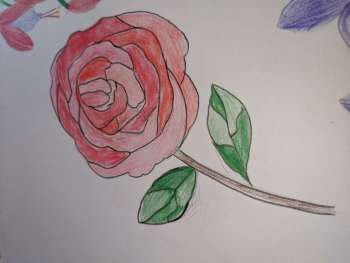 #GFBH2020 Roses are Red (well pink in my world!)