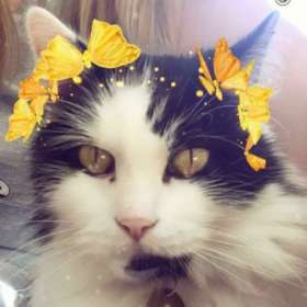 Profile picture of Alaine