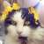 Profile picture of Alaine